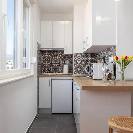Apartment Botan *